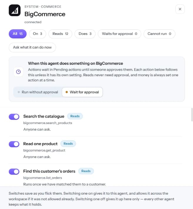 The BigCommerce panel on Actions: filters, reads switched on and the approval setting.