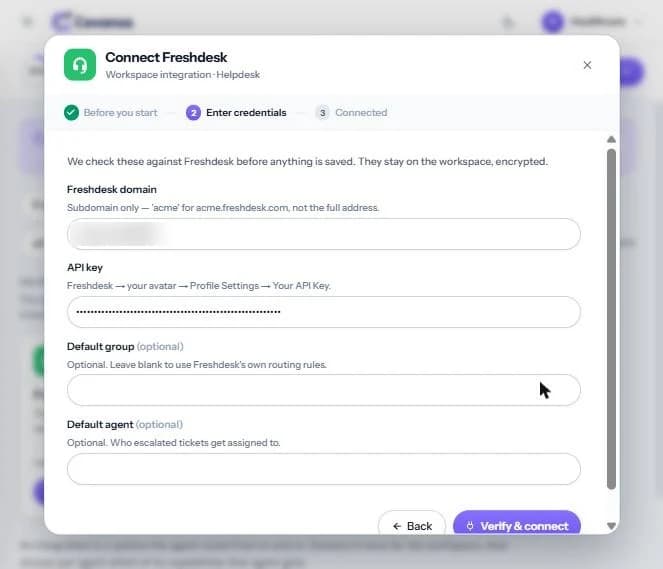 Fields filled in (subdomain blurred, API key masked), ready for Verify & connect.