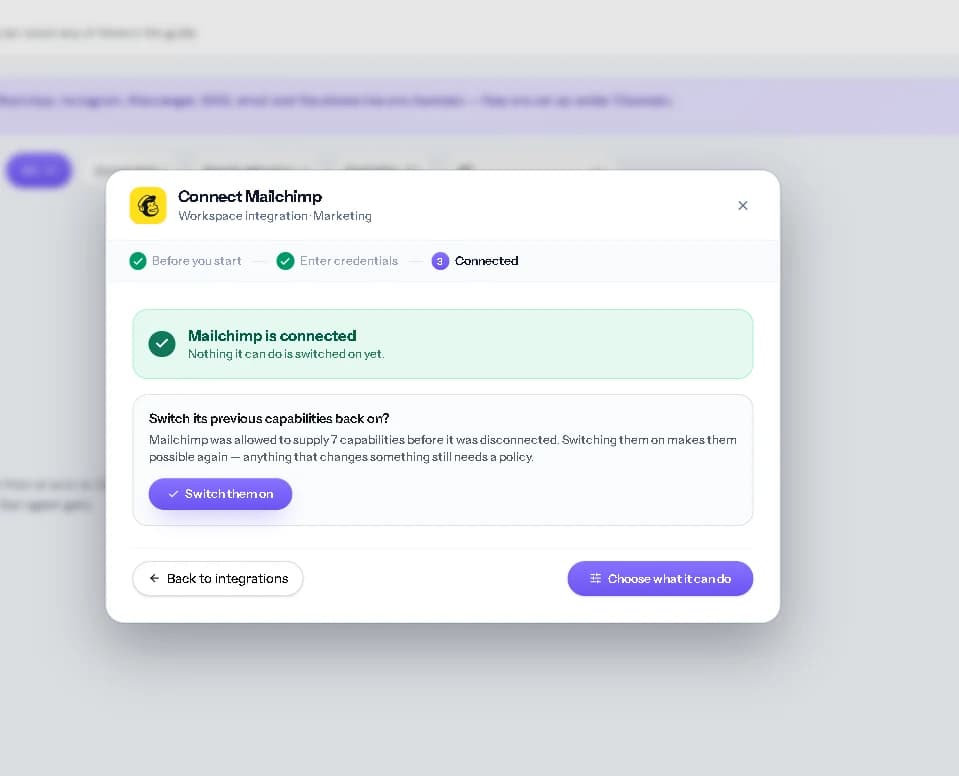 Mailchimp confirms the account is connected.